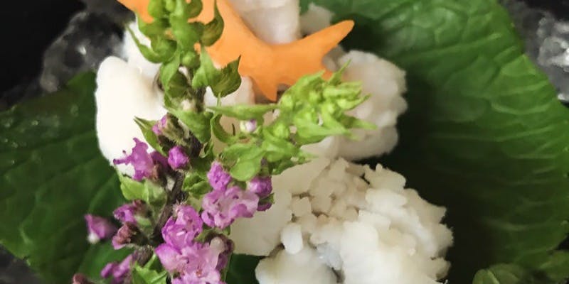 【昼の鱧尽くしの小会席】鱧～はも～尽くしの全7品の味覚彩々＋乾杯のお飲物1杯付き