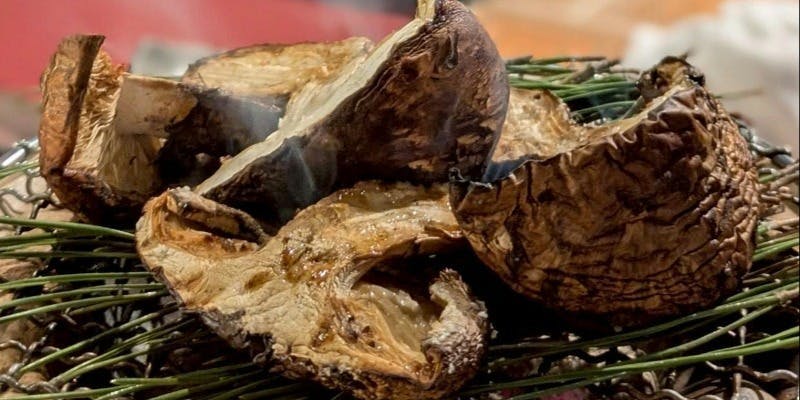 【秋之彩】松茸、洛北ぼたん鍋、河豚、鰻、秋を魅せる八寸等で御用意する全10品　（個室確約）