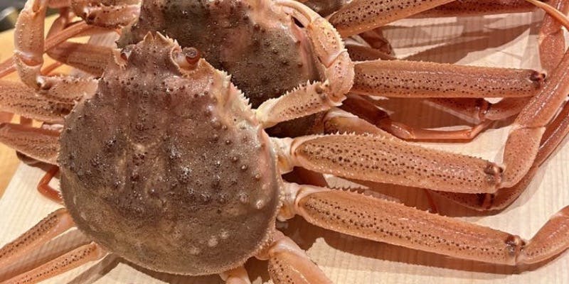 【季節のおまかせコース】