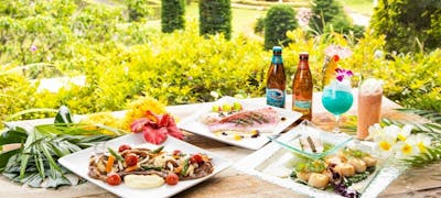 Lt8rqapr 5hjhm Lt8rqapr 5hjhm