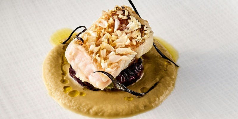 【ディナー】モメンタムの粋を集めたスペシャルコース