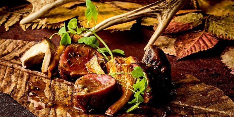 モメンタム　スタンダードコース