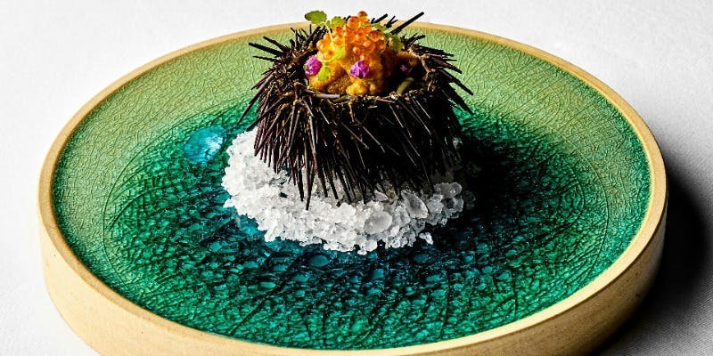 【ランチ】ディナーの食材を含むスペシャルランチ