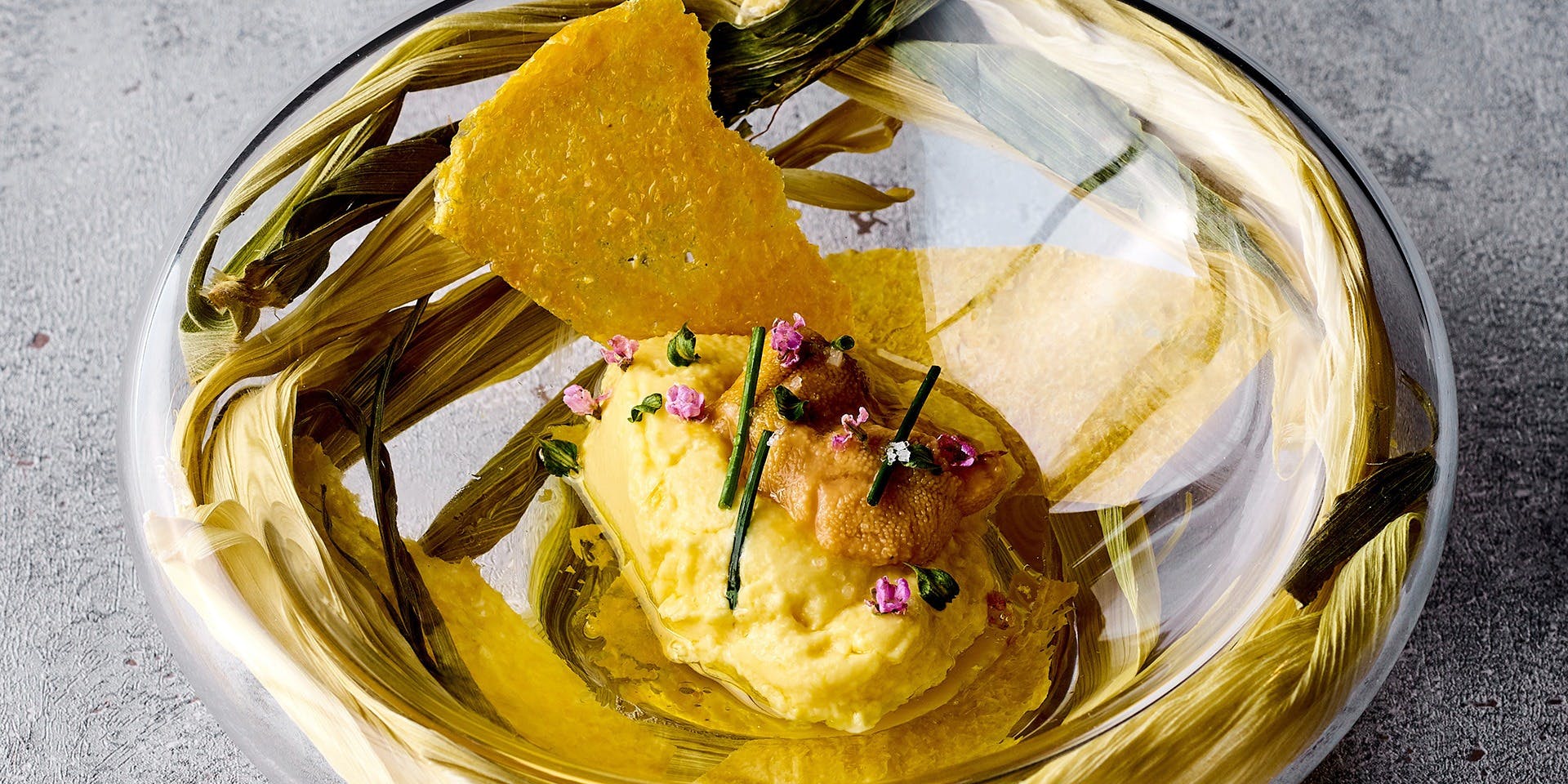 ザ モメンタム バイ ポルシェ（The Momentum by Porsche）