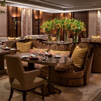 �v�����摜