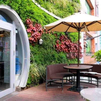 緑に囲まれたテラス席でくつろぎのひとときを