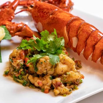 �T�C�A�� �w���e�C�W ����