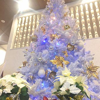 四条大宮 西院 右京区 西京区 クリスマス ランチ 19 人気おしゃれレストラン45選 Okaimonoモール レストラン 四条大宮 西院 右京区 西京区 クリスマス ランチ 19 人気おしゃれレストラン45選 Okaimonoモール レストラン