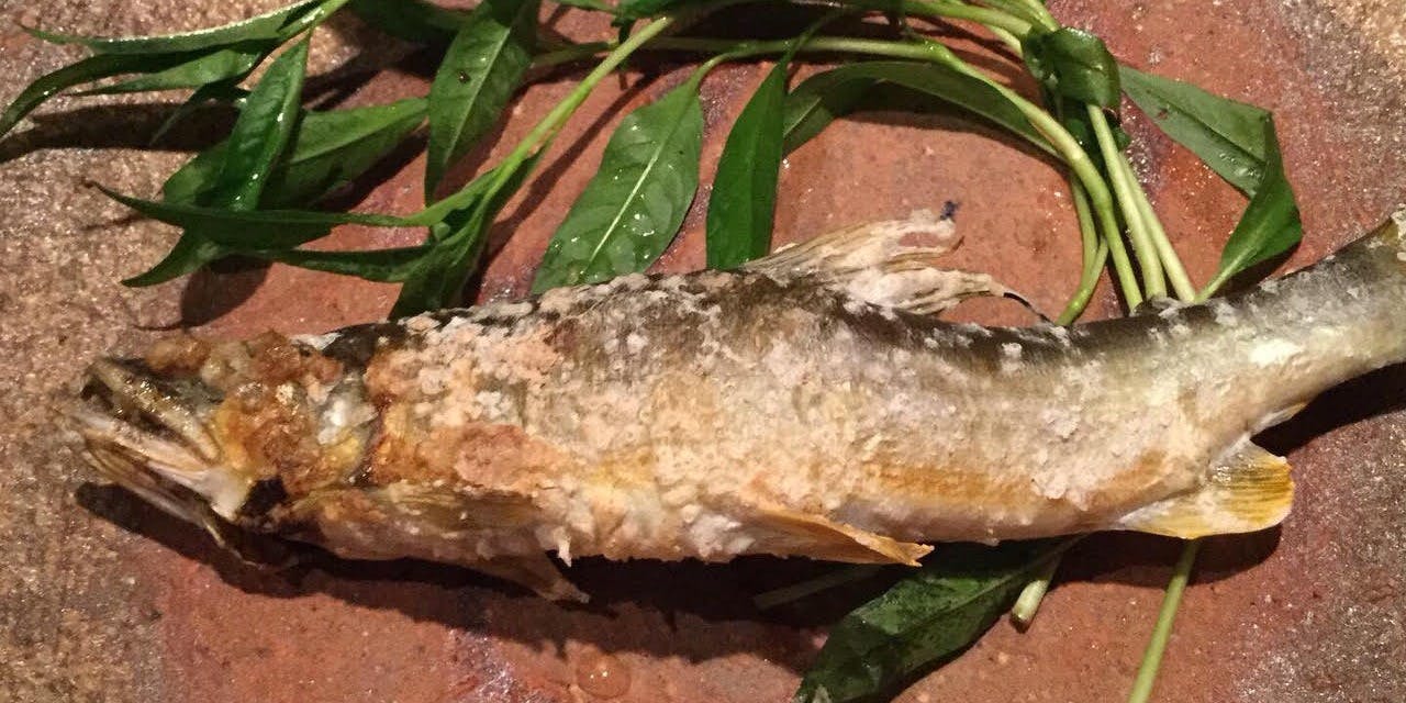 ほねラボラトリー 恵比寿 日本料理 一休 Comレストラン ほねラボラトリー 恵比寿 日本料理 一休 Comレストラン