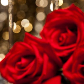 ディナー 個室 ルアン オーベルジュ豊岡1925 Okaimonoモール レストラン