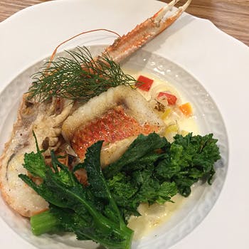 �r�X�g�� �C���E�h�E��