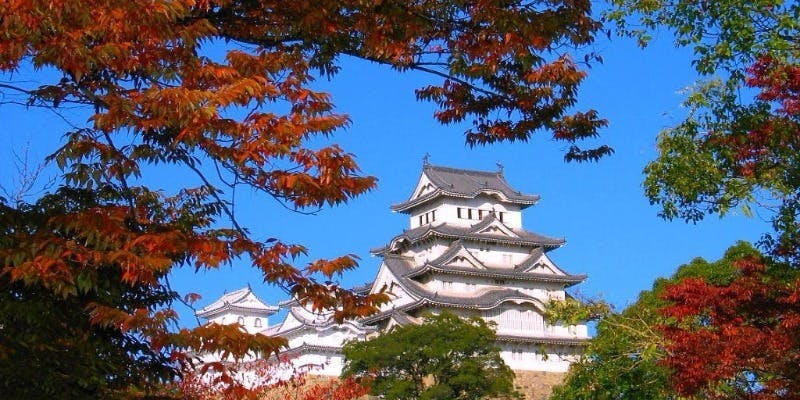 紅葉プラン・人力車で姫路の城下町を堪能！ここでしか味わえない姫路瓢亭のすっぽん料理（造り,鍋,炭焼..）