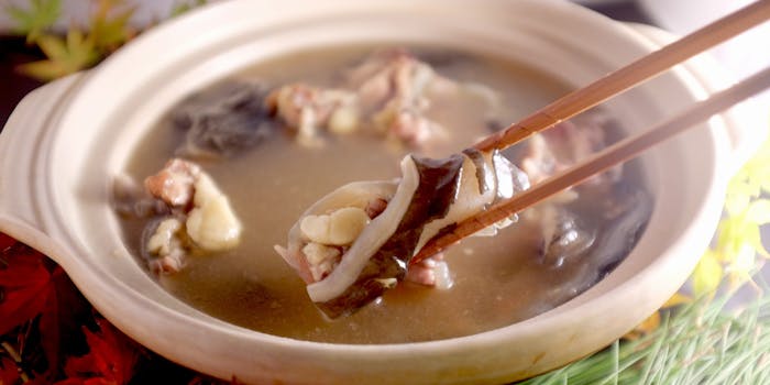 姫路のランチに和食その他が楽しめるおすすめレストラントップ1 一休 Comレストラン 姫路のランチに和食その他が楽しめるおすすめレストラントップ1 一休 Comレストラン