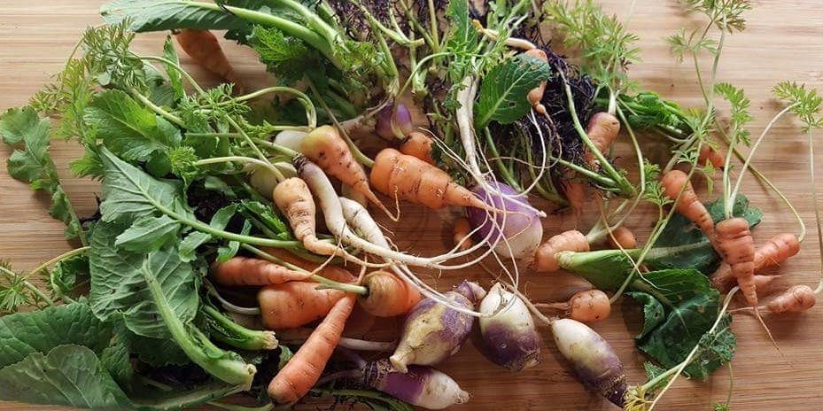 ナチュラルフレンチ マスターピース - 画像4