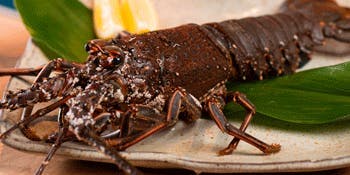 ニュー松坂 梅田32番街店 - 画像22