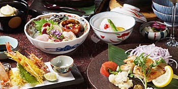 PREMIUM 播鳥 - 画像13