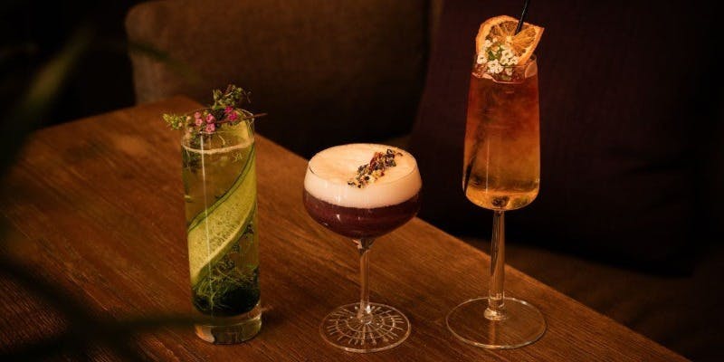 【120分飲み放題】ビール・ワイン・カクテルなど全30種以上（ドリンクのみ）