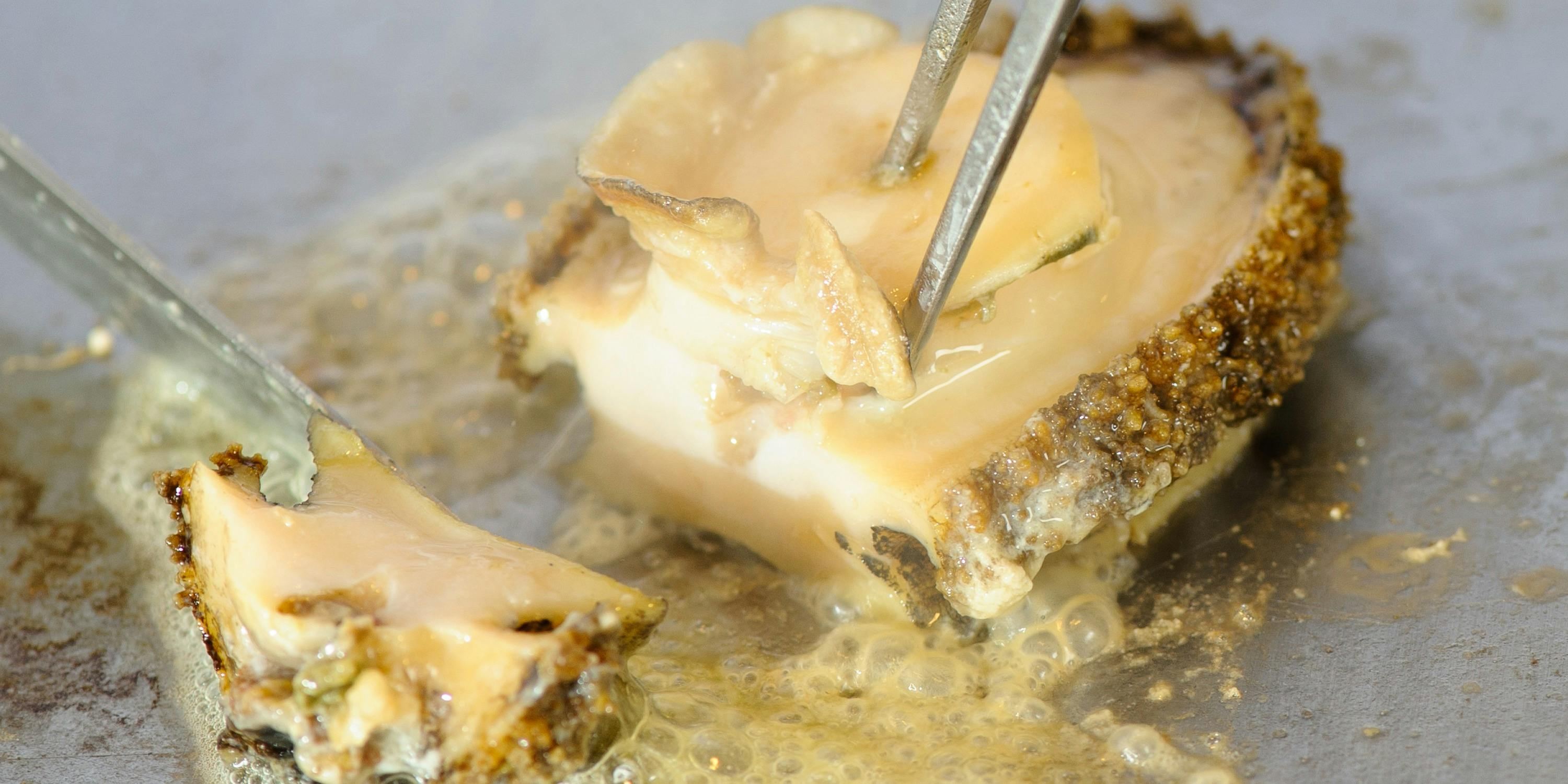 鉄板ステーキ ピュール - 画像21