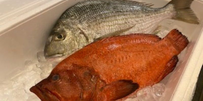 鉄板ステーキ ピュール - 画像19