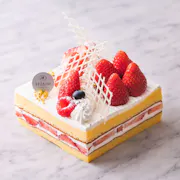 _FUJ1078
