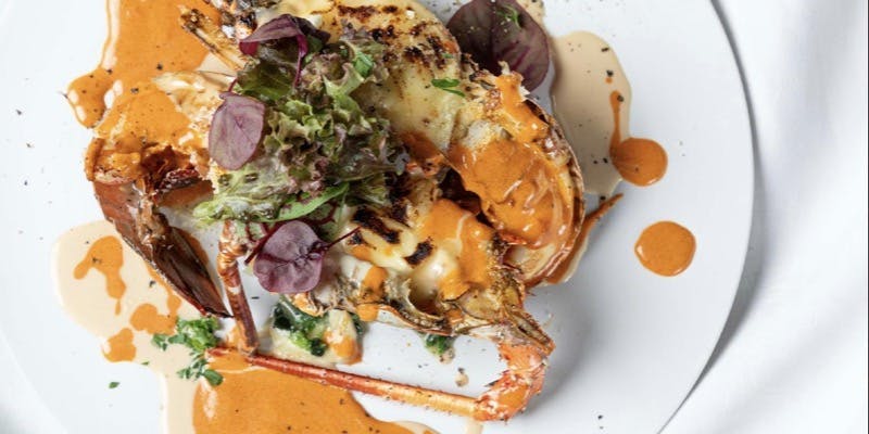 【贅を尽くした至高コース】フォアグラ、伊勢海老、熟成黒毛和牛（テーブルor個室）