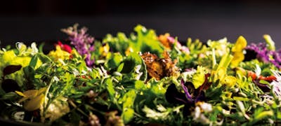白川公園周辺ランチ おすすめ 絶品お昼ごはん19選 一休 Comレストラン