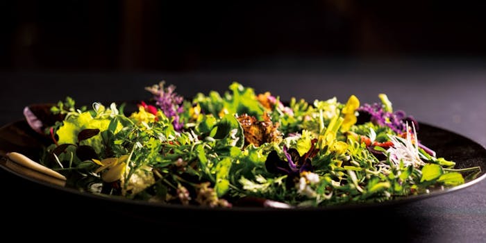 栄のディナーにおすすめレストラントップ 一休 Comレストラン 栄のディナーにおすすめレストラントップ 一休 Comレストラン