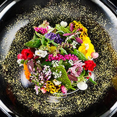 卓越されたセンスで目を舌を魅了する極上のフレンチ