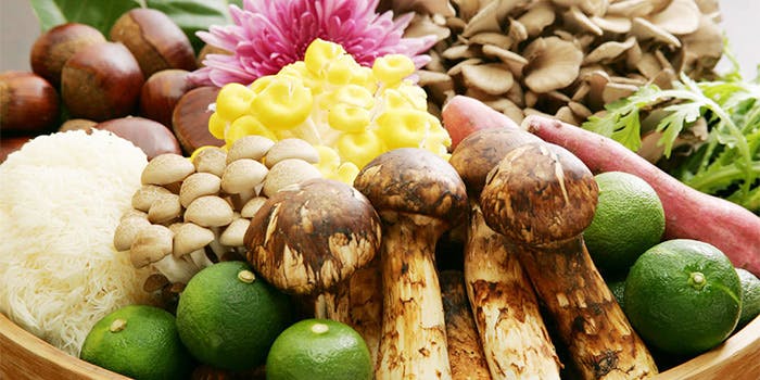 志良田（シラタ）