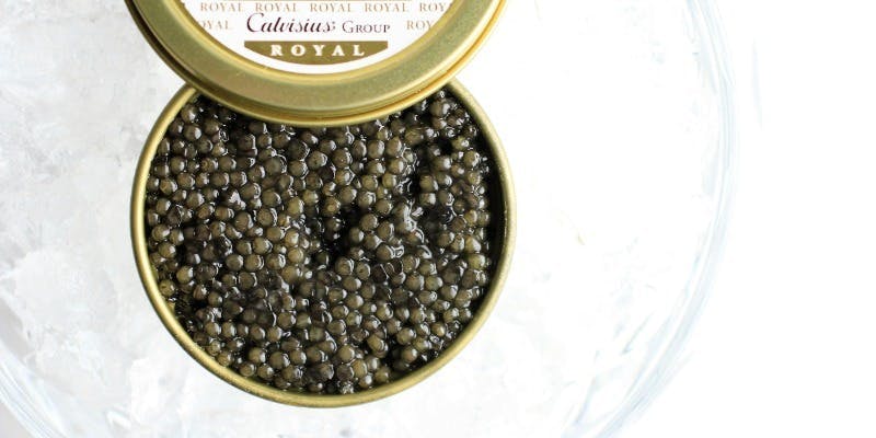 コース・スペシャル  Course special　33000円（窓際確約）