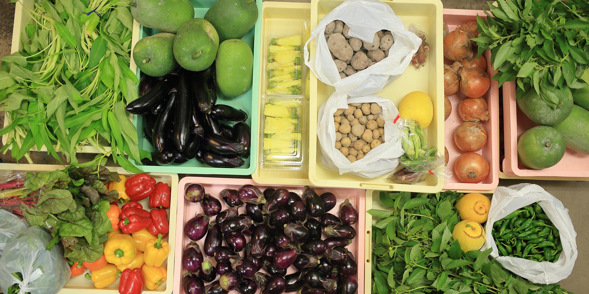 Ristrante Pizzeria 仁木家