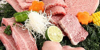 草の家 赤坂店 - 画像12