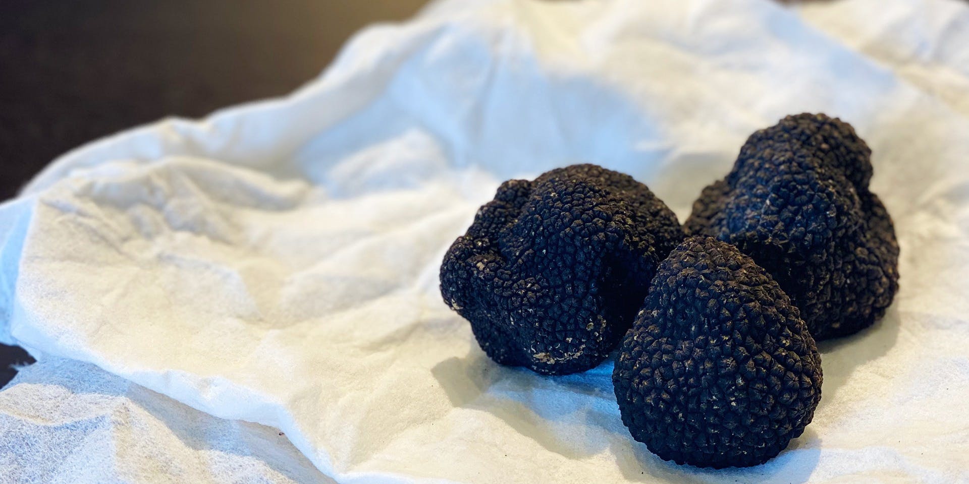 IL ZELANTE - 画像4