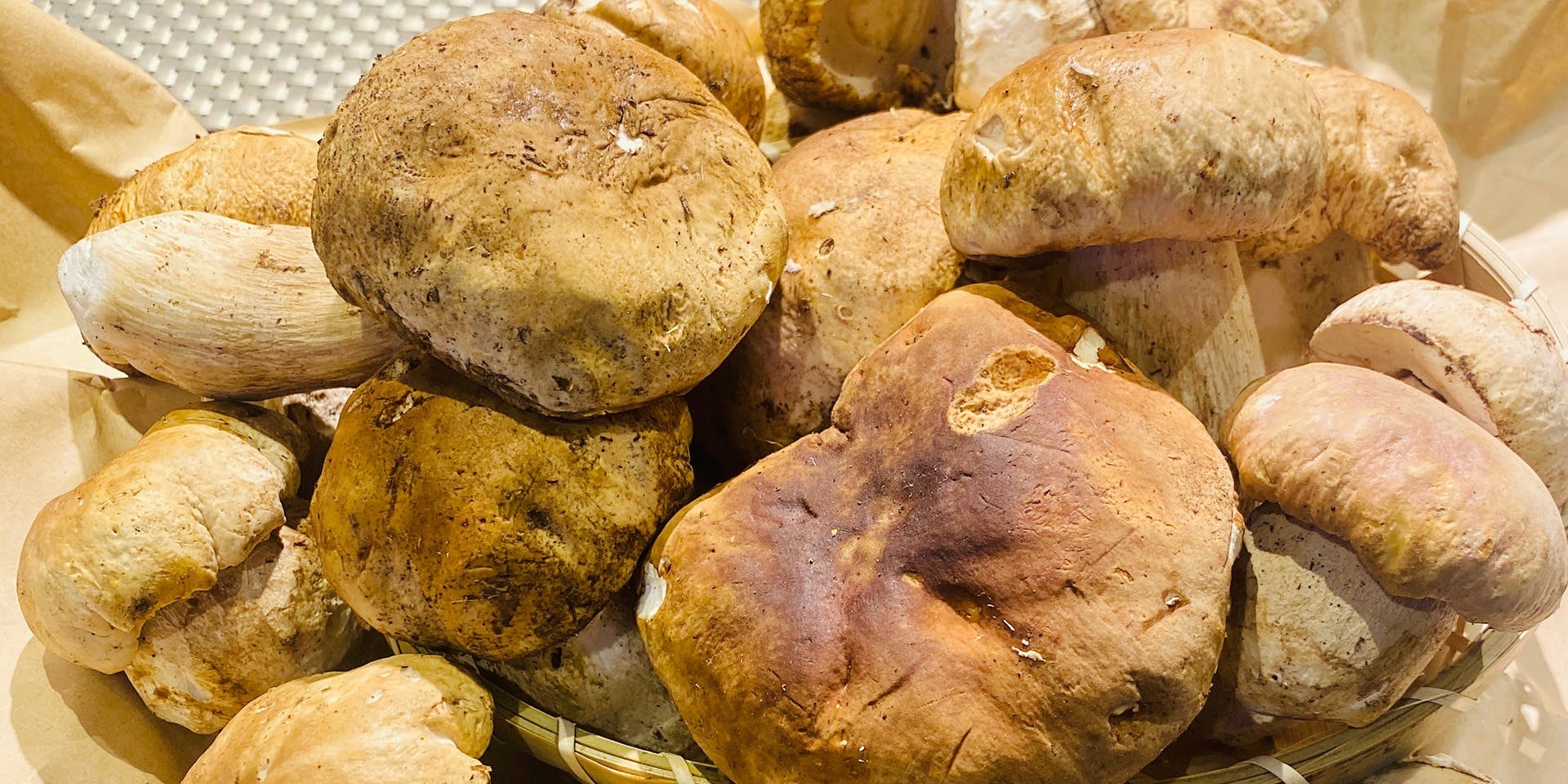 IL ZELANTE - 画像5