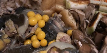 【すっぽん鍋コース】すっぽんの肝造り、唐揚げ含む全8品 - 先斗町 魯ビン