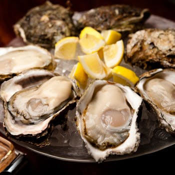 Oysterbar&Wine BELON�i�u�����j ���