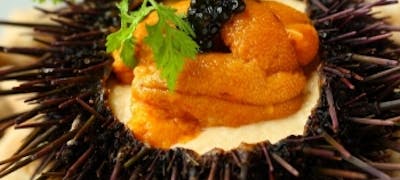 松屋銀座周辺ランチ21 おすすめ 絶品お昼ごはん30選 一休 Comレストラン 松屋銀座周辺ランチ21 おすすめ 絶品お昼ごはん30選 一休 Comレストラン
