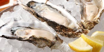 ランチ Oysterbar Wine Belon ブロン 銀座 銀座 オイスターバー 一休 Comレストラン