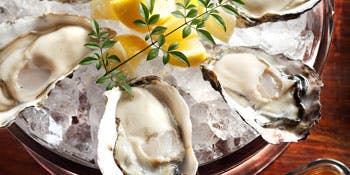 Oysterbar Wine Belon ブロン 銀座 銀座 オイスターバー 一休 Comレストラン Oysterbar Wine Belon ブロン 銀座 銀座 オイスターバー 一休 Comレストラン