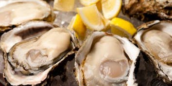 ～ 牡蠣の食べ比べ～生牡蠣5種・焼き牡蠣3種・牡蠣パスタ・ドルチェ　牡蠣を楽しむ全4品 - Oysterbar&Wine BELON（ブロン） 銀座