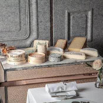 �h�~�j�N�E�u�V�F �g�[�L���[