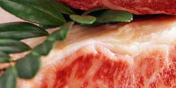 鉄板焼「さくら」／ヒルトン東京お台場 - 画像20