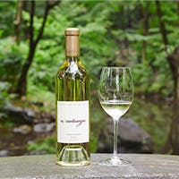 ドリンクイメージ