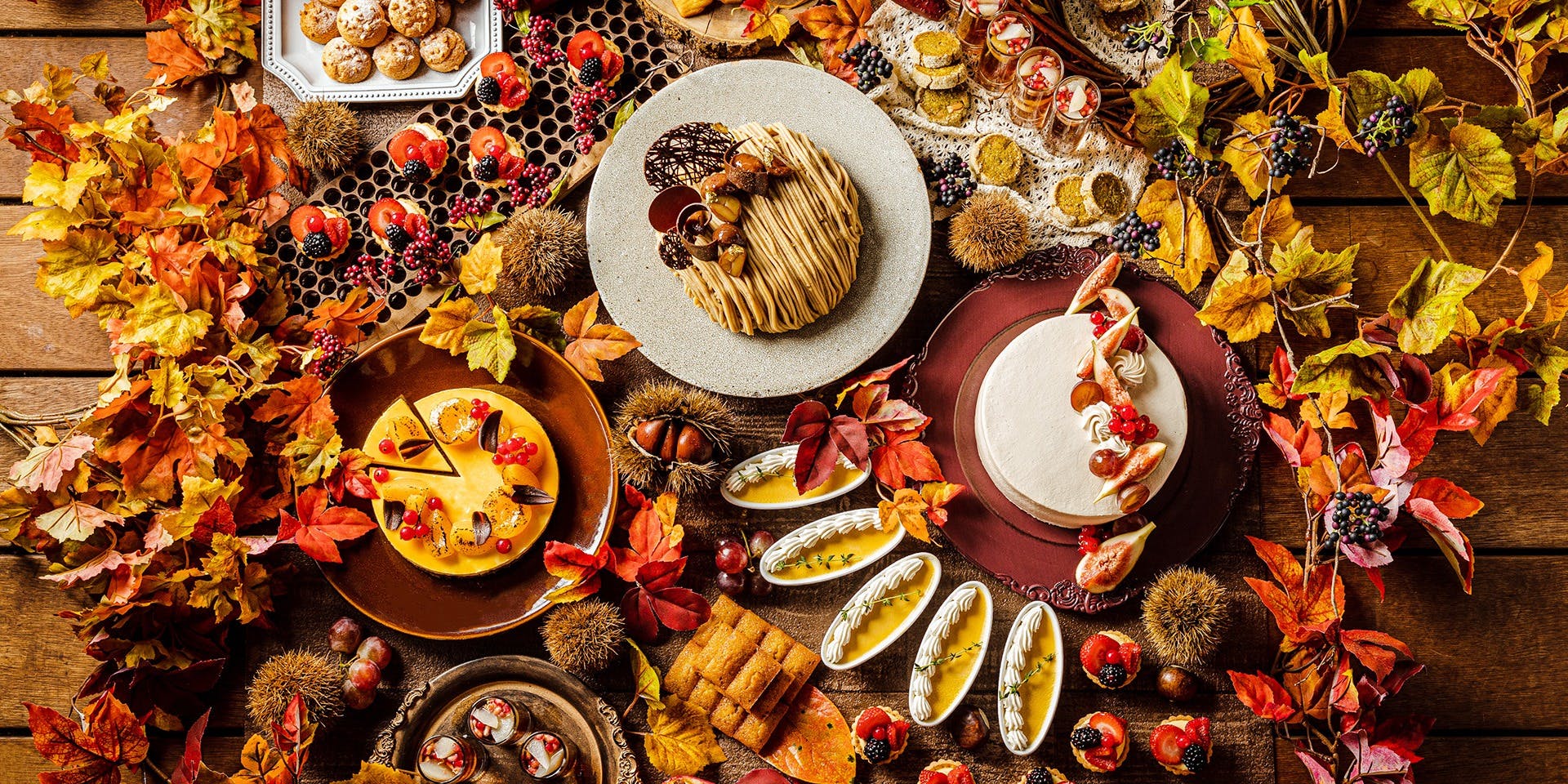 銀座の女子会にランチでタリアテッレが楽しめるおすすめレストラントップ1 一休 Comレストラン