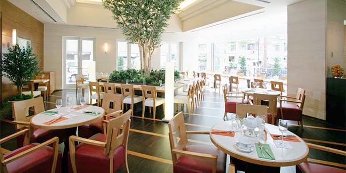 大阪の女子会にランチでカフェが楽しめるおすすめレストラントップ1 一休 Comレストラン