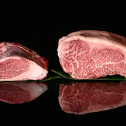 匠_和牛のみ_画像.JPG