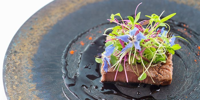 岐阜の景色が良いでおすすめレストラントップ5 一休 Comレストラン 岐阜の景色が良いでおすすめレストラントップ5 一休 Comレストラン