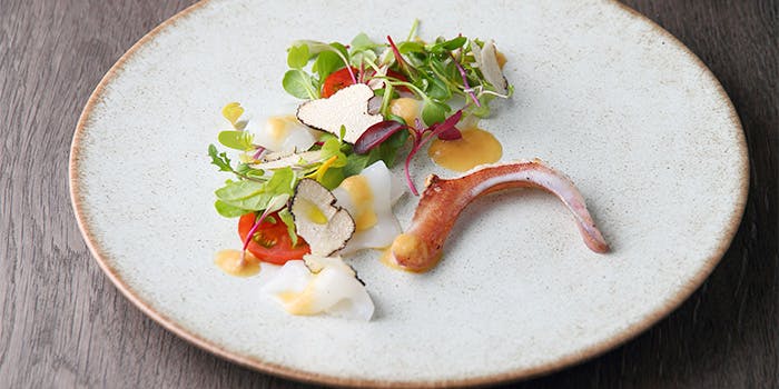 GARB pintino（ガーブピンティーノ）