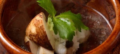 宇治周辺の美味しいランチ30店 おしゃれ人気店 絶品ランチグルメ 21年 一休 Comレストラン 宇治周辺の美味しいランチ30店 おしゃれ人気店 絶品ランチグルメ 21年 一休 Comレストラン