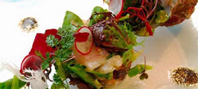 21年 最新 神楽坂の美味しいディナー24店 夜ご飯におすすめな人気店 一休 Comレストラン 21年 最新 神楽坂の美味しいディナー24店 夜ご飯におすすめな人気店 一休 Comレストラン